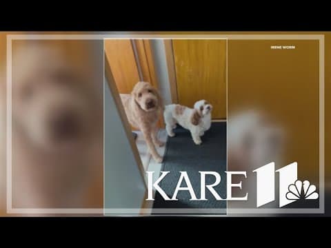 Your Good News: Genevieve and Francis, Ian Levstein, Irene Worm