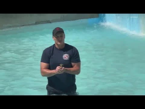 IFD rescues ducklings stuck in drain on Monument Circle