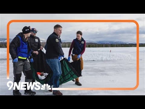 CPW commissioner calls relocation of Colorado wolfpack a mistake