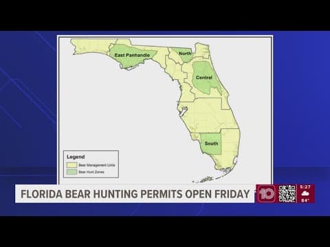 Applications for Florida's newly approved 2025 bear hunting season to open this week