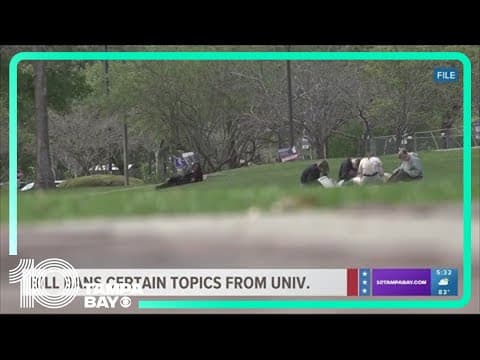 Florida Senate pushes through a bill that bans DEI, prohibits certain topics