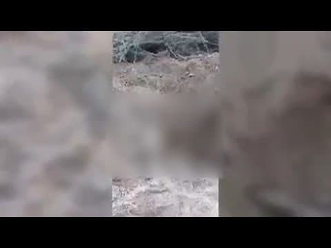 Raw video: Dozens of bodies found by search group in unmarked graves near Mexican border town