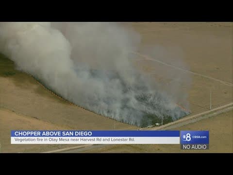 Cal Fire crews work to extinguish grass fire in Otay Mesa, south San Diego County