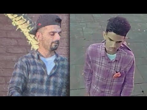 Dallas family says they were hit by tree trimmer thieves who hit Houston homes