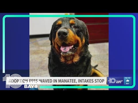 Animal shelter in Manatee County is overcapacity, officials say