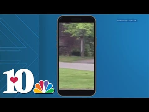 Bear spotted in Alcoa neighborhood