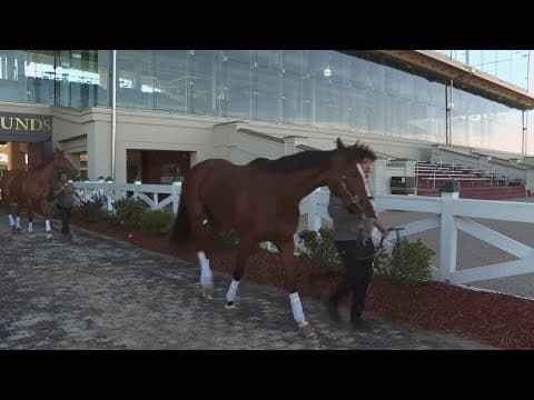 New Orleans City Council to vote on whether to keep horse racing at the Fair Grounds