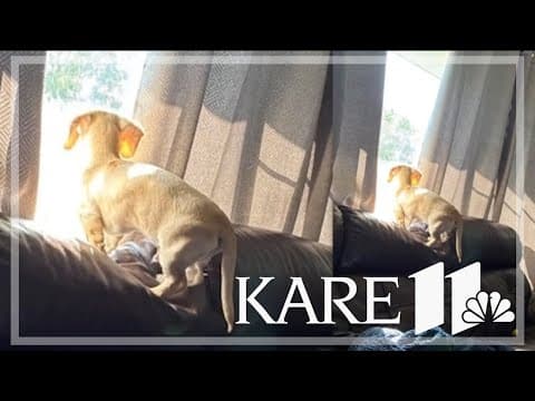 Your Good News: Wendy Boucher, Randy Foy, Kimberly Gannaway