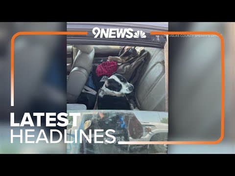 Latest headlines | Hot cars can be deadly for dogs