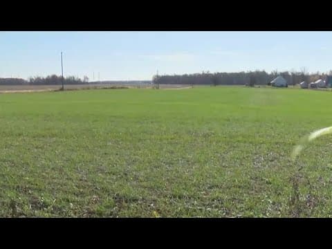 Google linked to $1B Indianapolis data center