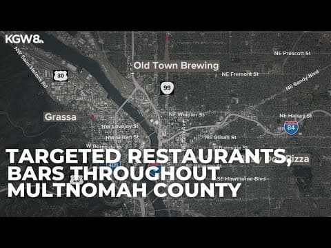 Grand jury indicts two suspects in over 100 Portland business robberies