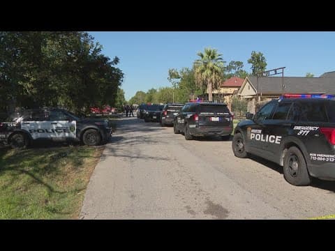 Officers shoot and kill man firing assault rifle recklessly in northeast Houston backyard, HPD says