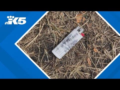 Children playing with lighter start brush fire in Lacey