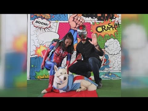 YouTube thumbnail for video JJYXAFJIM7c