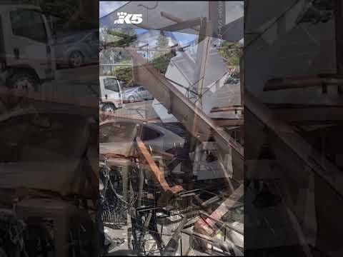 Tesla crashes into Olympia restaurant patio