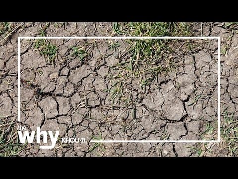 Why do you need to water the foundation of your home in Houston?