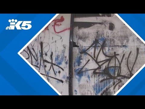 Seattle City Attorney proposes $1,000 civil fines for prolific graffiti taggers