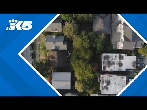 Kirkland home remodeler who stole more than $3.5 million from customers pleads guilty