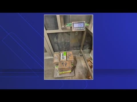 Bust at the border: More than $880K worth of cocaine hidden in broccoli