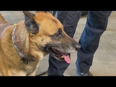 K-9 Apache retires after long career with Indiana State Police