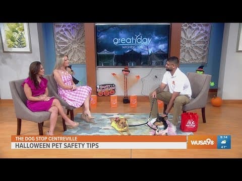Tips for a safe and happy Halloween with your furry friends