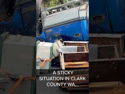 Truck carrying beehives crashes in Clark County