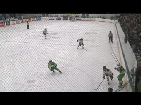 Highschool boys hockey: Wayzata beats Edina