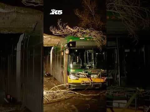 Tree crashes onto Metro bus in Wedgewood