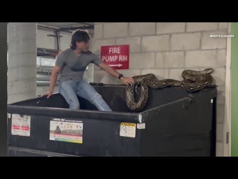 Snake handler rescues 20-foot python found in California dumpster