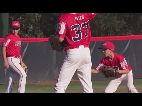 Loudoun South Little League teams head to the state tournament