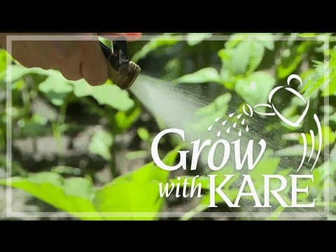 Grow with KARE: Are you overwatering?