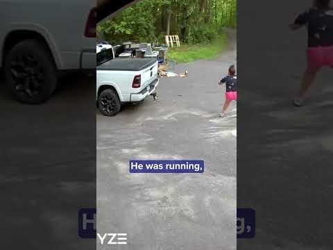 This good boy's instincts were juuussttt right when it came to confronting these three bears.