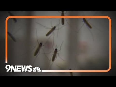 West Nile Virus detected in Denver's mosquito population