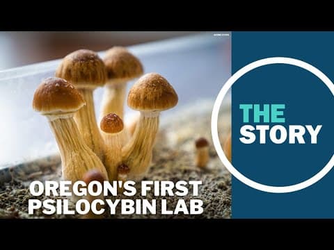 Portland lab is the first in Oregon licensed to test legal psilocybin mushrooms