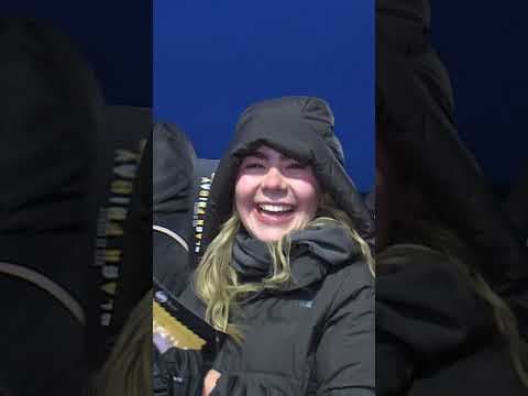 Do you have a Black Friday shopping tradition?