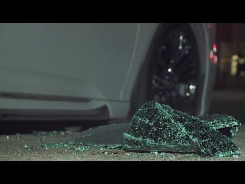 New Orleans business hire private security as crime surges