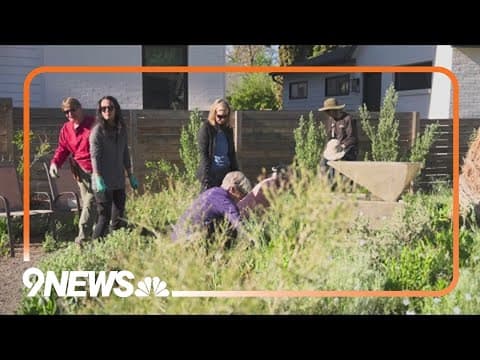 Wash Park garden grew into community space during COVID lockdown