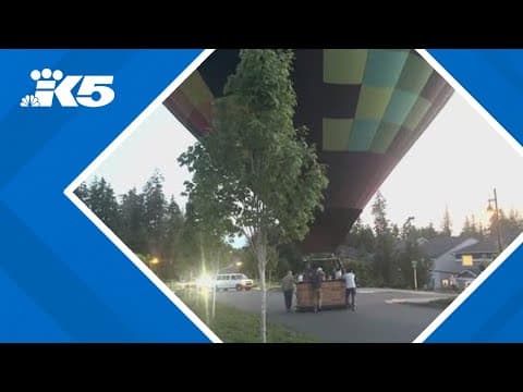 YouTube thumbnail for video K5hZKyMtaSI