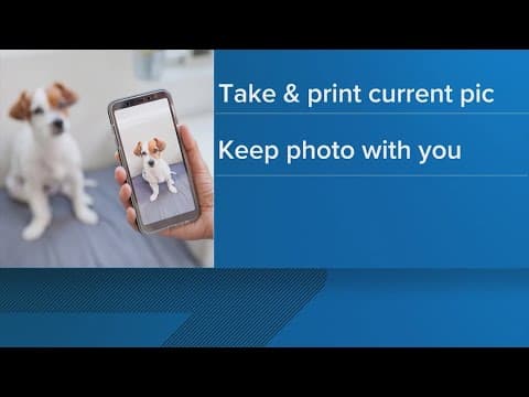 Prepping you pets for hurricane season