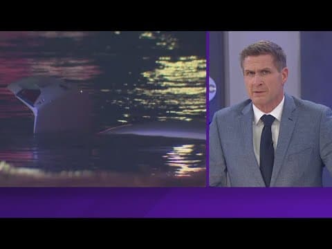 Tuesday night storms bring deadly flooding to North Texas