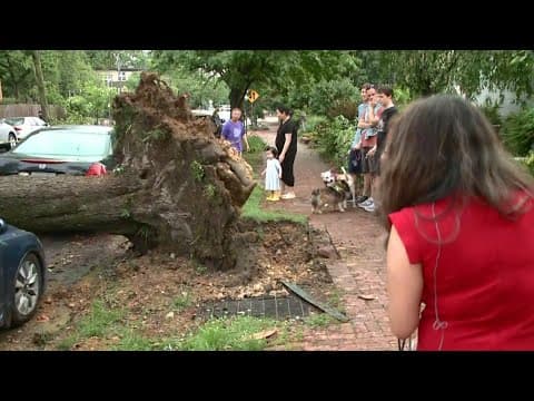 Tree calls onto 13th St. Southeast as severe weather hits DC