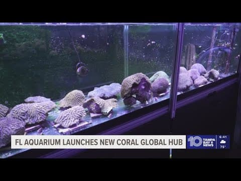 The Florida Aquarium announces the Center for Species Survival to help with coral reef protection