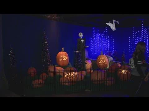 Families enjoy Boo at the Zoo