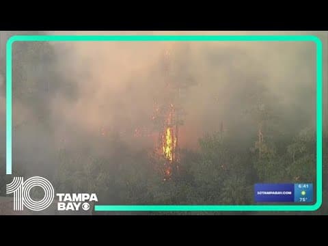 Brush fire burns near Port Richey townhomes