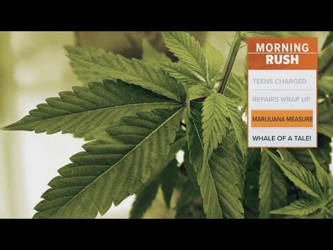 Marijuana decriminalization will be on the ballot in Dallas