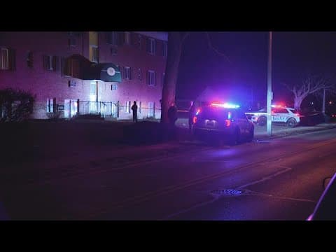 Police: 9-year-old boy accidentally shoots himself in the leg in west Columbus