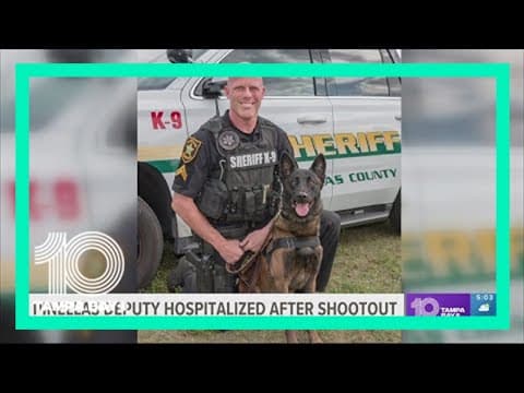 Pinellas County deputy recovering in hospital after getting shot; 23-year-old shooter identified