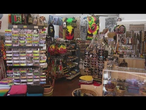 Rose Reggae | Celebrating San Diego Black-Owned Businesses