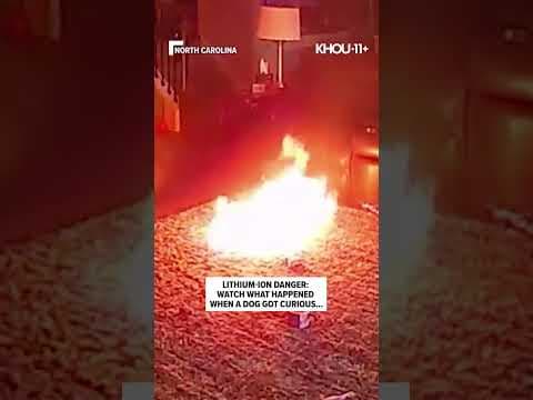 The dog's owner shared the video. Fortunately, the fire was out in minutes.  And the dog is OK.