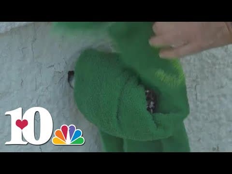 AAA: Prepare now to prevent damage to your home